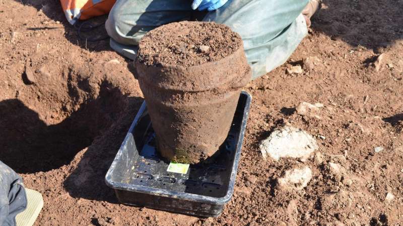Ancient human remains and a mystery unearthed by ANU archaeologist