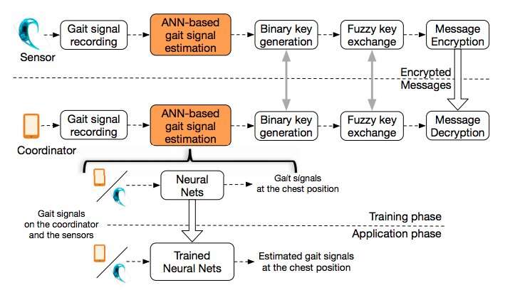 A new artificial neural network framework for gait based biometrics