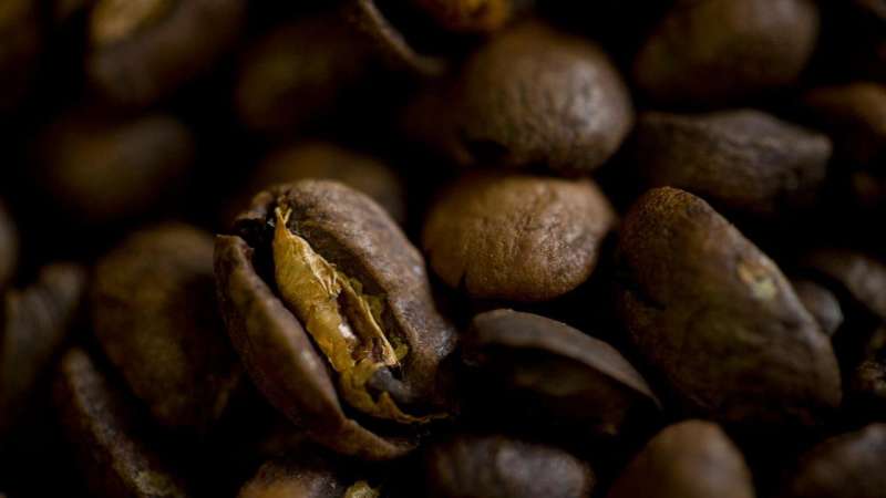 Arabica coffee genome sequenced