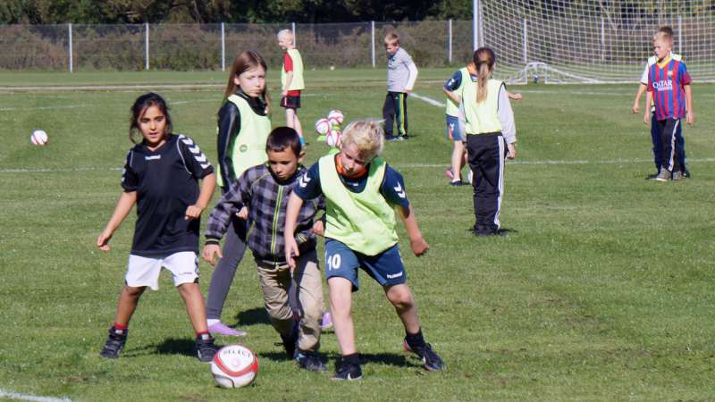 Ball games and circuit strength training boost bone health in schoolchildren