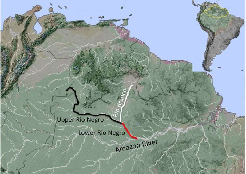 Bird DNA helps explain Amazonian rivers’ role in evolution