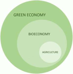 Building a circular bioeconomy with synthetic biology