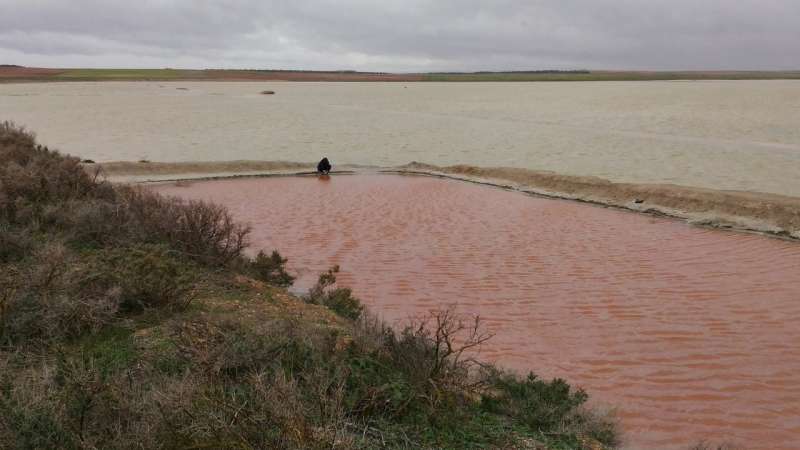 Candy-pink lagoon serves up salt-rich diet for potential life on Mars