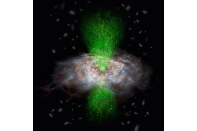 Co-evolution black hole mystery deepened by a new ALMA observation