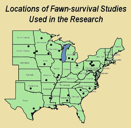Deer fawns more likely to survive in agricultural landscapes than forest
