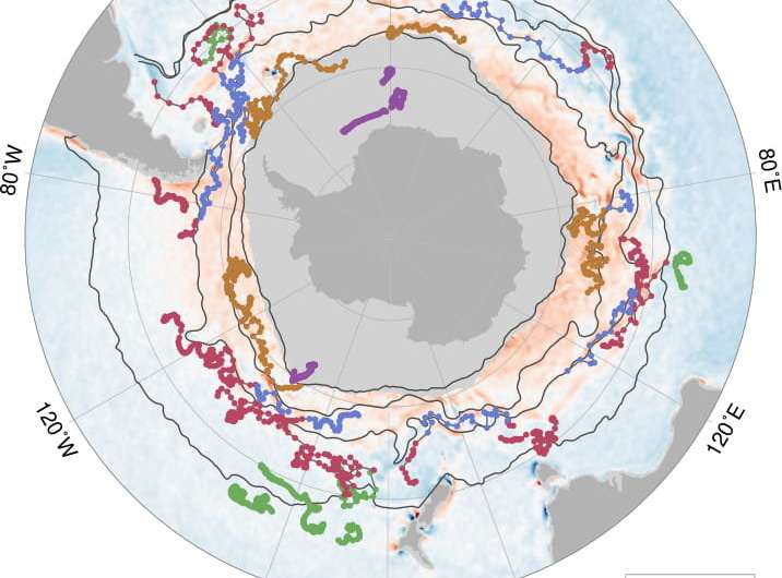 Diving robots find Antarctic winter seas exhale surprising amounts of carbon dioxide