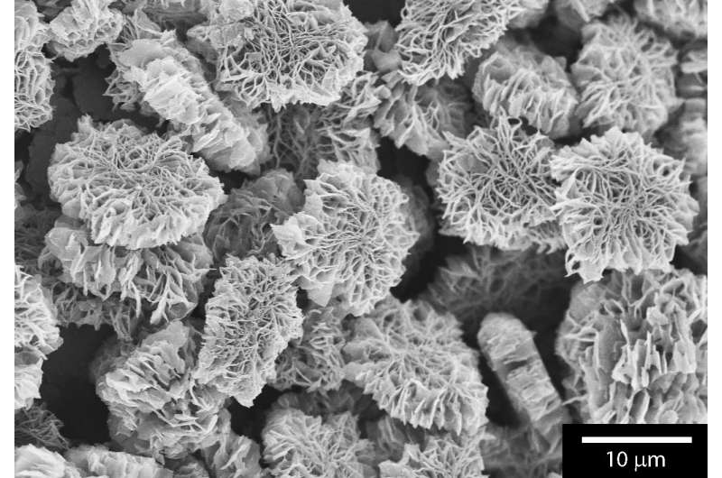 Electron microscope provided look inside the organic chemical reaction