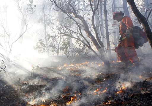 Experts seek ways to boost extreme wildfire survival rates