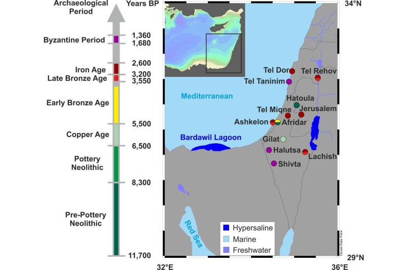 Extensive trade in fish between Egypt and Canaan already 3,500 years ago