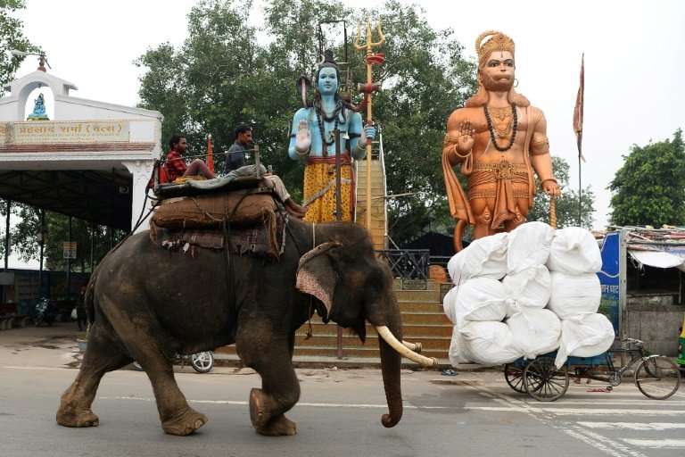Fifty years ago the Indian capital housed more than 200 elephants
