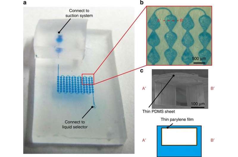 Flexible color displays with microfluidics