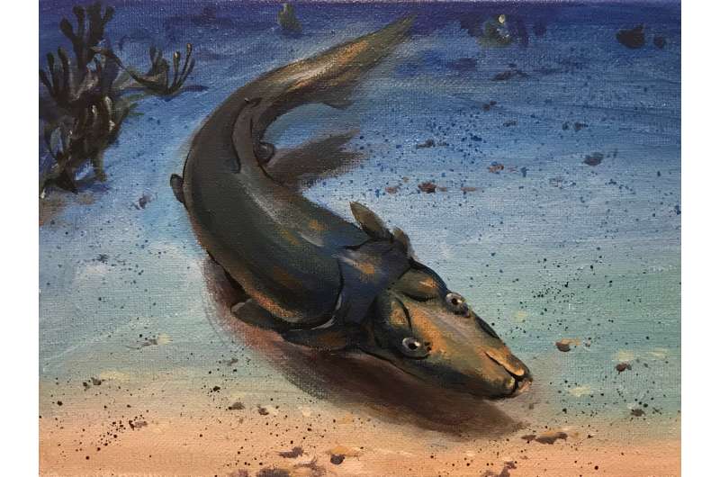Fossil fish with platypus-like snout shows that coral reefs have long been evolution hotspots