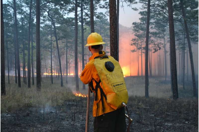 FSU researchers: Most fire in Florida goes undetected