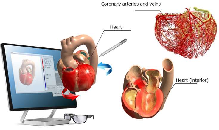 Fujitsu launches Heart Explorer to study heart behavior