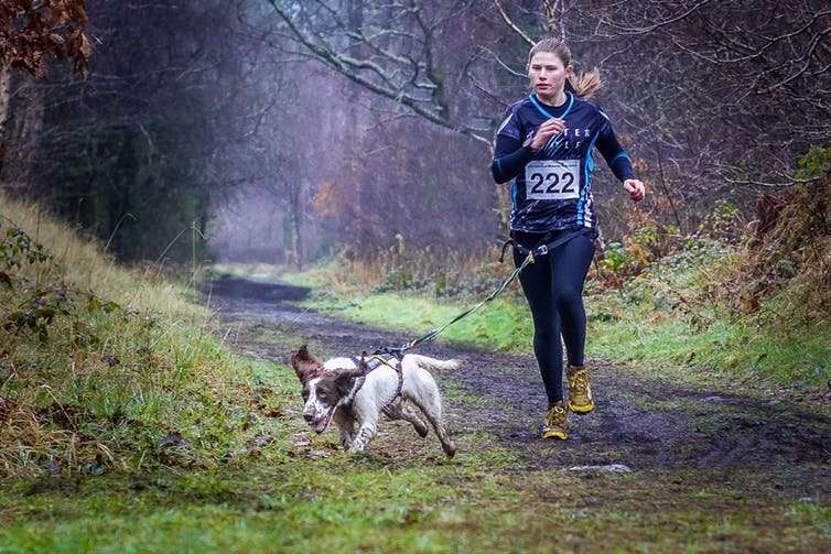 If your New Year's resolution is to get fit, your dog may be your perfect training partner