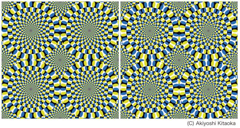 Illusory motion reproduced by deep neural networks trained for prediction