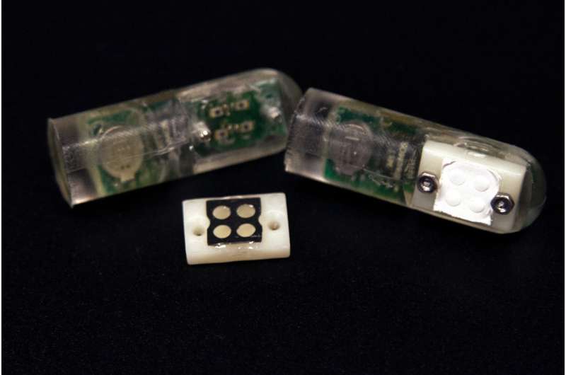 Ingestible 'bacteria on a chip' could help diagnose disease