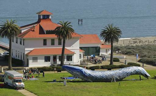 Life-sized plastic whale to raise ocean pollution awareness