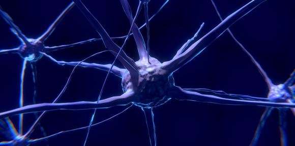 Mechanism behind neuron death in motor neurone disease and frontotemporal dementia discovered