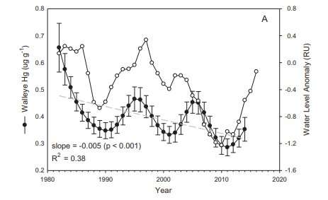 Mercury levels in fish fluctuate along with water levels in lakes