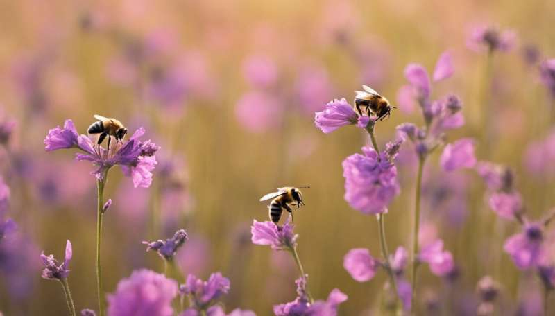 Neonicotinoid ban—how meta-analysis helped show pesticides do harm bees