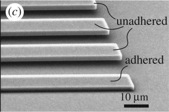 New approach to measuring stickiness could aid micro-device design