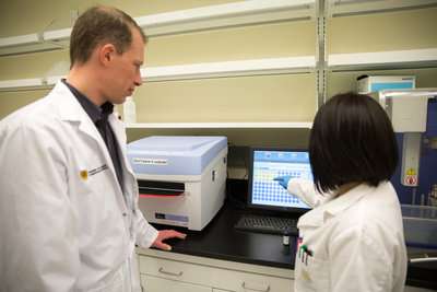 New diagnostic method makes testing for infections in people and animals quick and easy