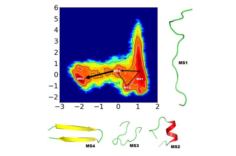 New method speeds up simulations, giving new insights into protein folding