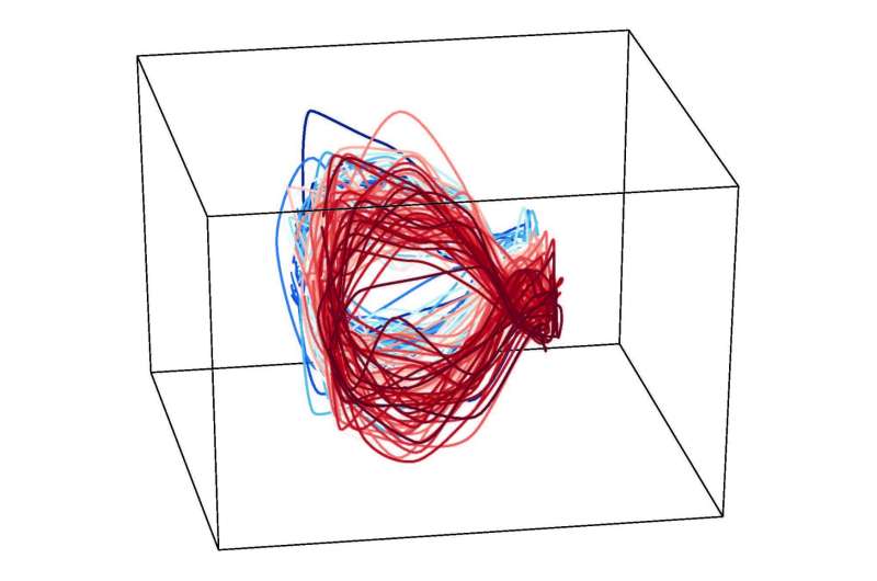 New software, HyperTools, transforms complex data into visualizable shapes