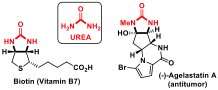 New symmetry-breaking method opens way for bioactive compounds