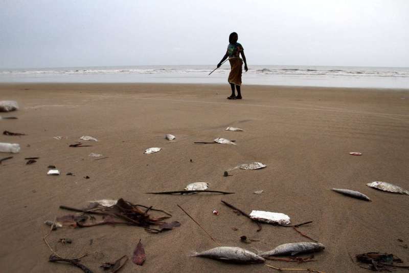 Nigeria's depleting fish stocks may pose a threat to regional security