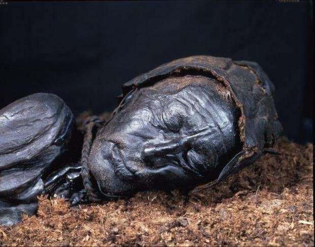No evidence that Europe’s bog bodies were gay