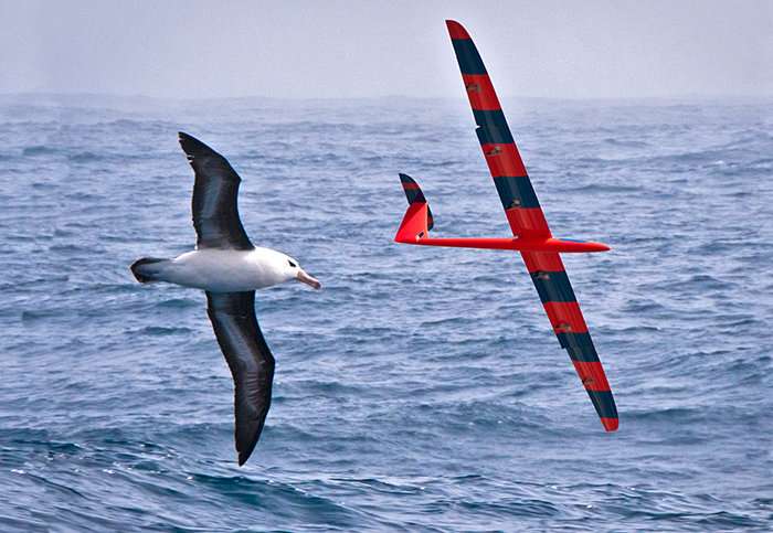Physicists train robotic gliders to soar like birds