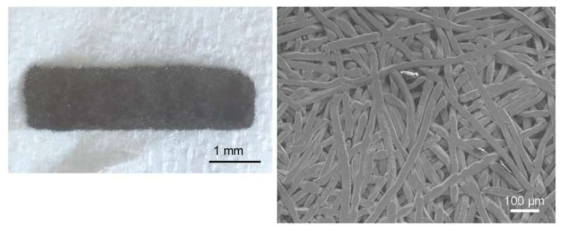 Scientists successfully test new, safer titanium plate for bone tissue repair