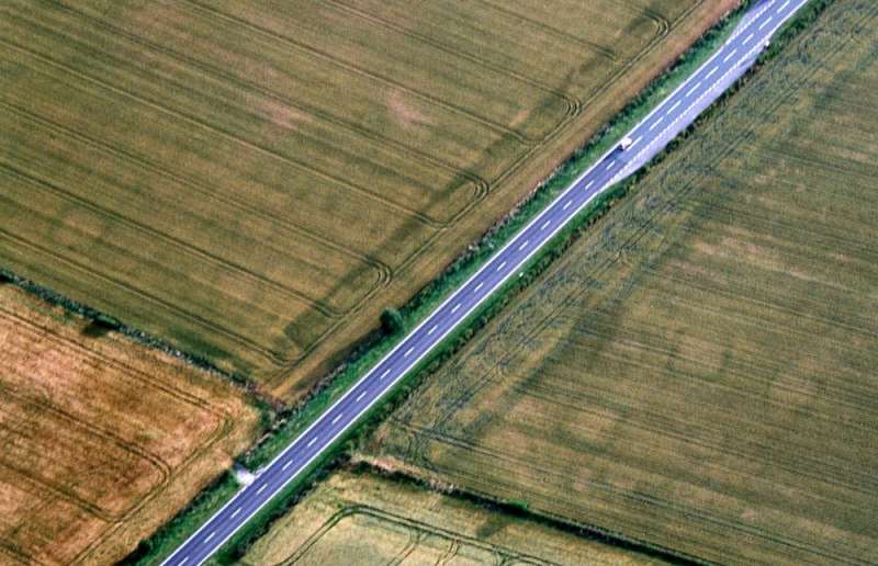 Seen from the air, the dry summer reveals an ancient harvest of archaeological finds
