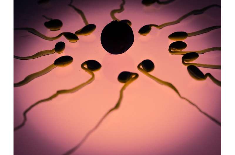 Japan’s sperm donation regulation spurs controversy