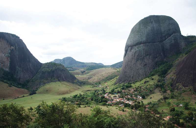Sticky and heavily armed, a tomato-relative is the new 'star' of the Brazilian inselbergs