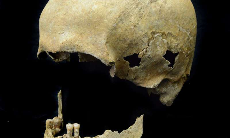 Stone Age hepatitis B virus decoded