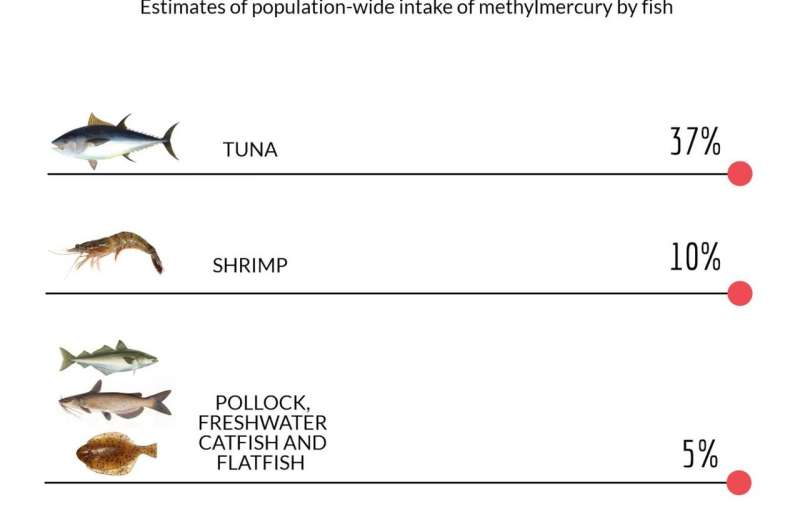 Study tracks methylmercury in seafood