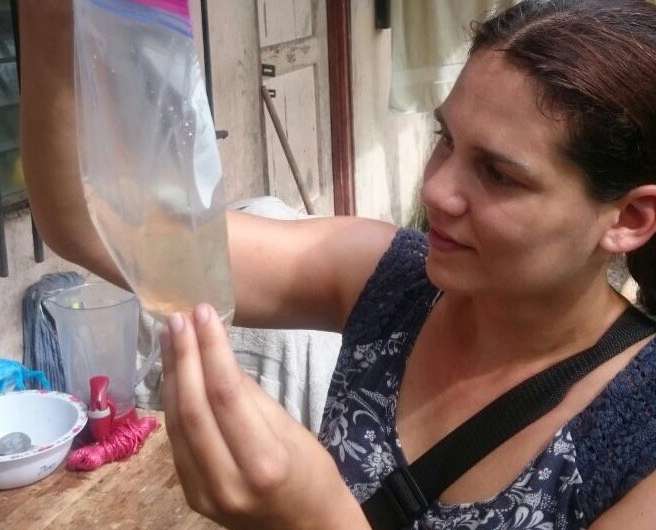 Tracking Aedes mosquito invasions in Panama