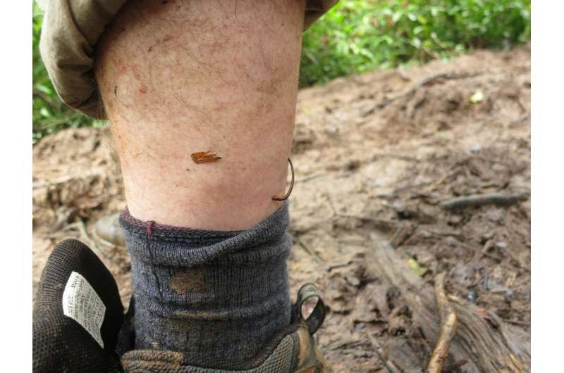Tracking endangered mammals with the leeches that feed on them