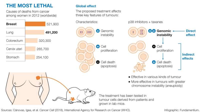 Tumor cells evade death through in extremis DNA repair