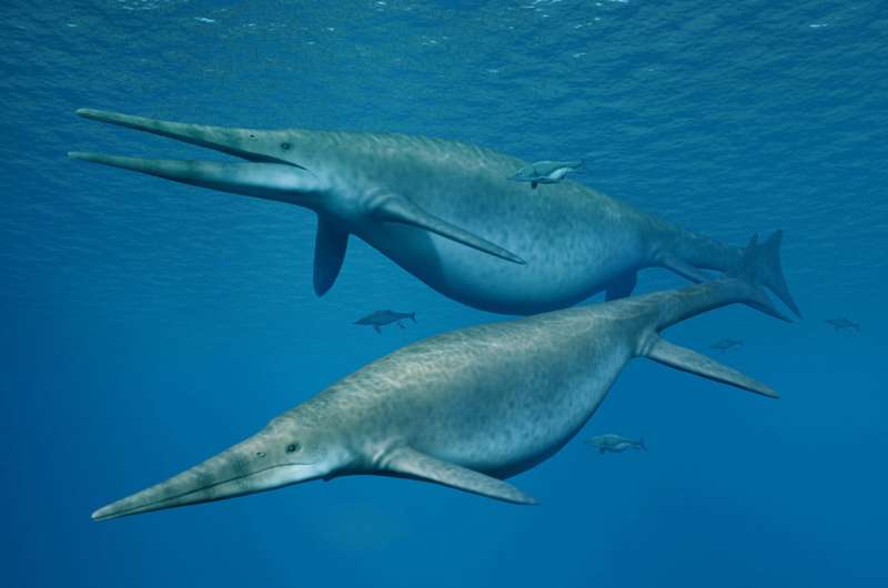 UK giant ichthyosaur is one of the largest animals ever