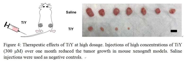 Versatile Sensor Against Tumor Initiating Cells