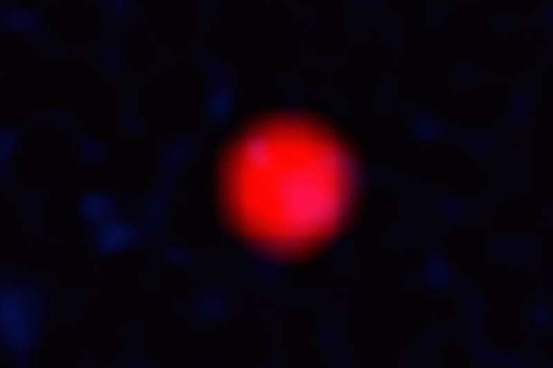 VLA sky survey reveals first 'orphan' gamma ray burst