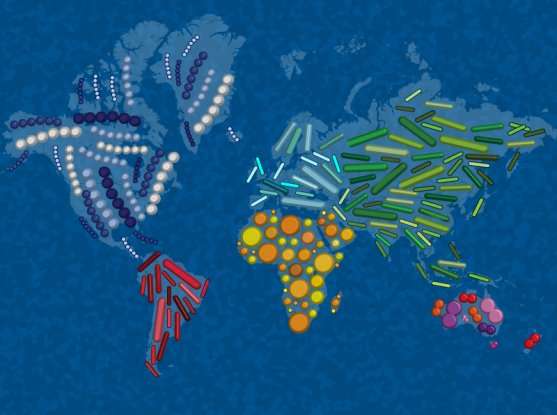 Researchers aim to catalogue global microbiomes — while there’s still time