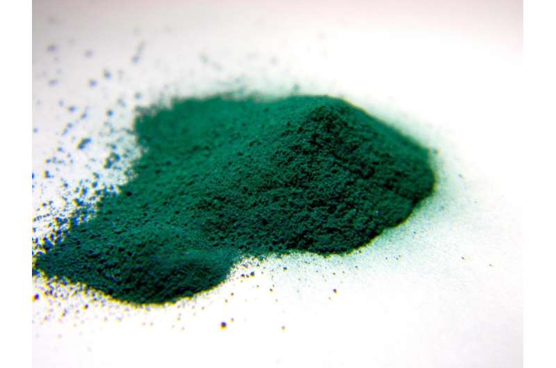 Russian scientists obtain new results in the study of inorganic pigments with apatite structure