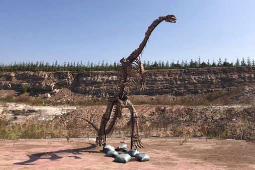 China building boom uncovers buried dinosaurs, makes a star