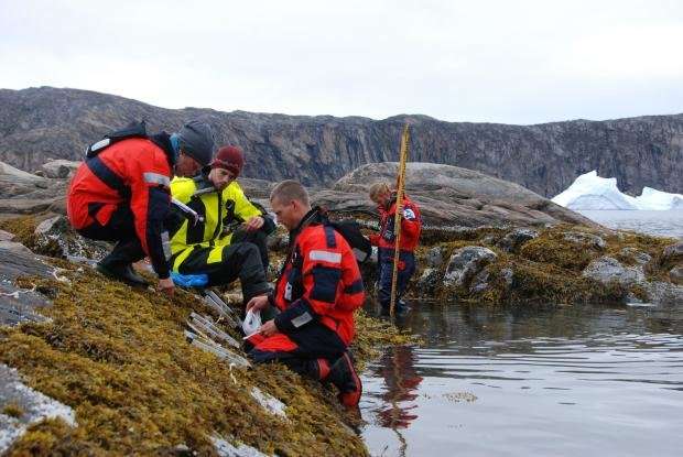 Climate change draws invasive species to the Arctic