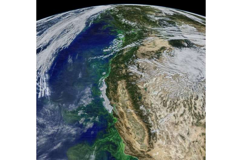 Researchers plunge into ocean ‘twilight zone’ to explore ecosystem carbon flow